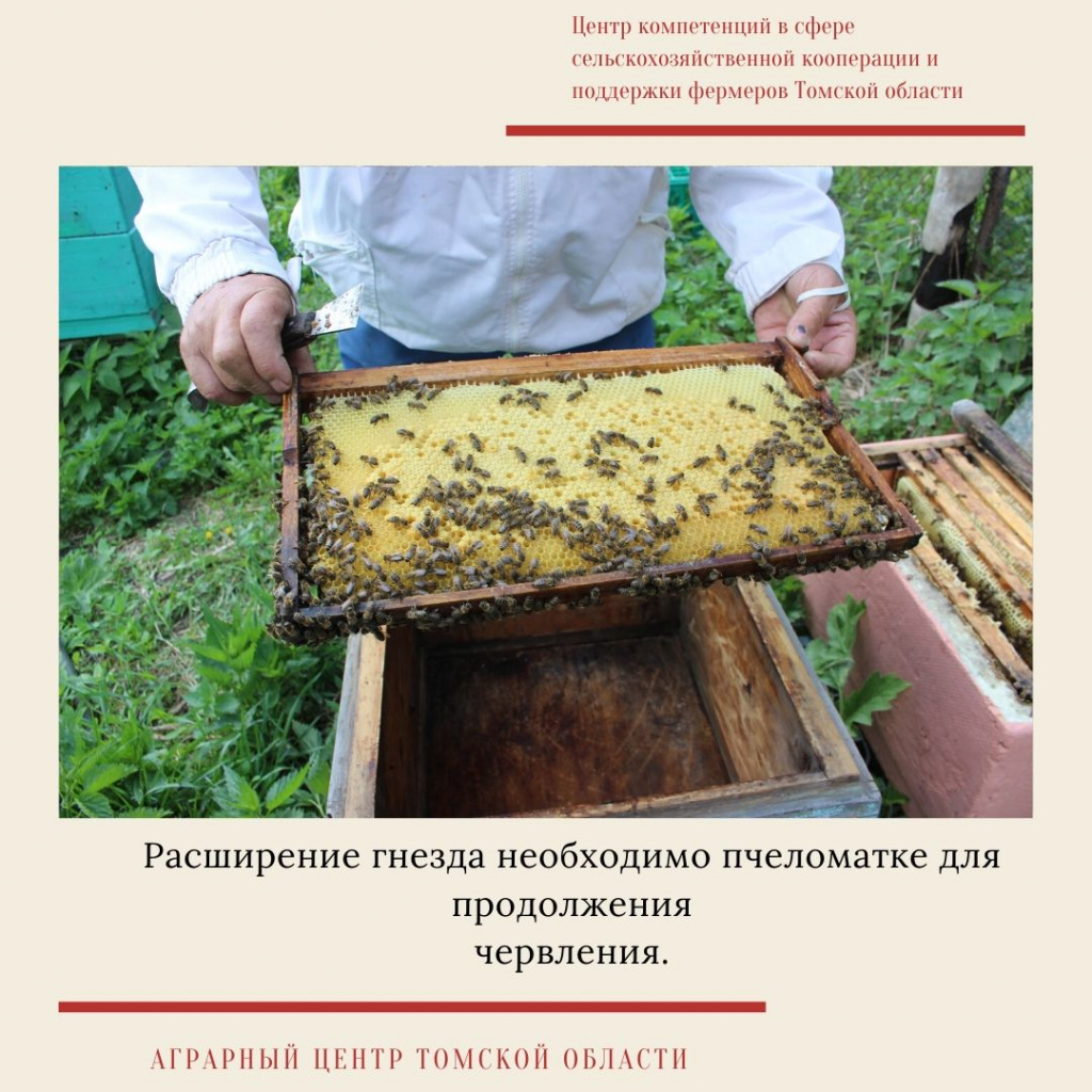 мастер-класс  3.jpg